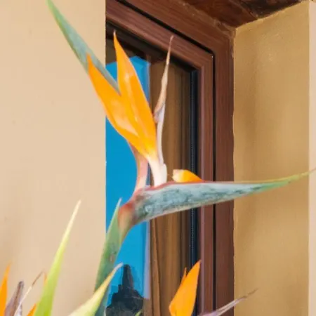 בית נופש The Views