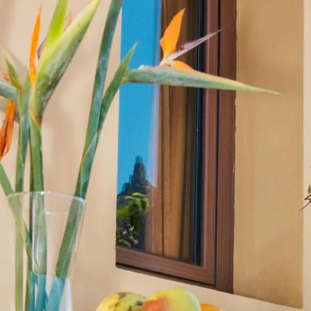 בית נופש The Views